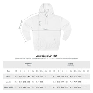 Bieberchella Hoodie- embroidered