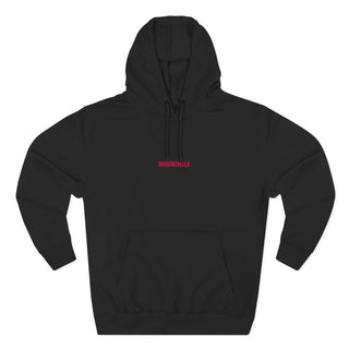 Bieberchella Hoodie- embroidered
