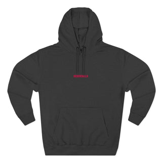 Bieberchella Hoodie- embroidered