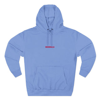 Bieberchella Hoodie- embroidered